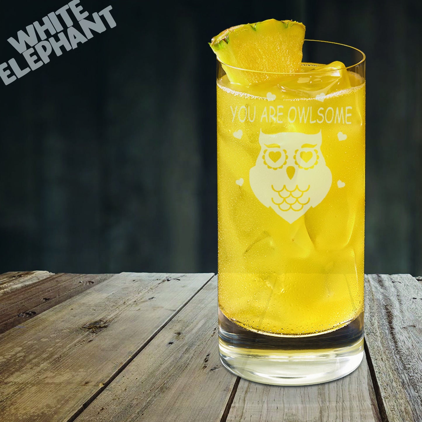 You Are Owlsome Laser Etched Whiskey / High-Ball / Pint / Tankard Glass